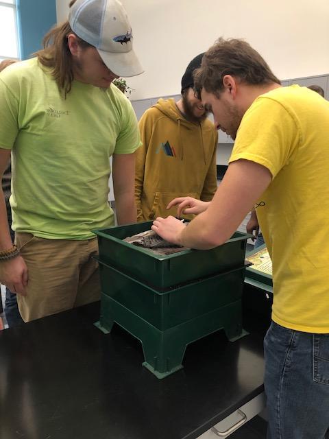 Three male geoscience students placing mulch into a tray